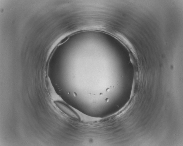 X0000066001340200603172156