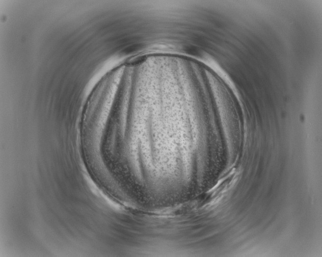 X0000066001341200603172156