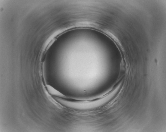 X0000066001342200603172156