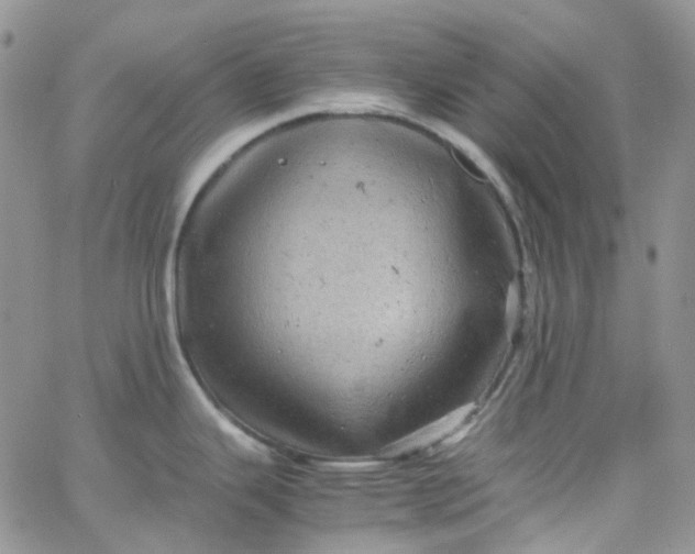 X0000066001343200603172156