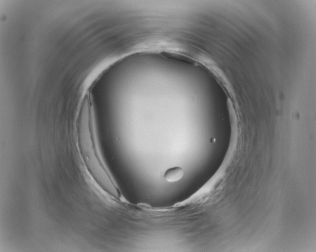 X0000066001344200603172156