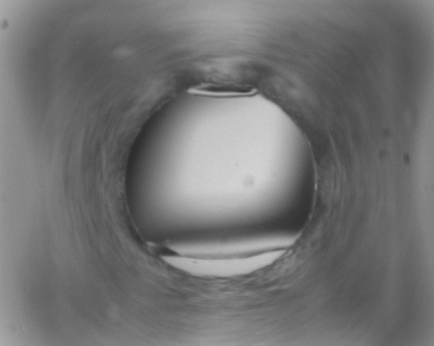 X0000066001345200603172155