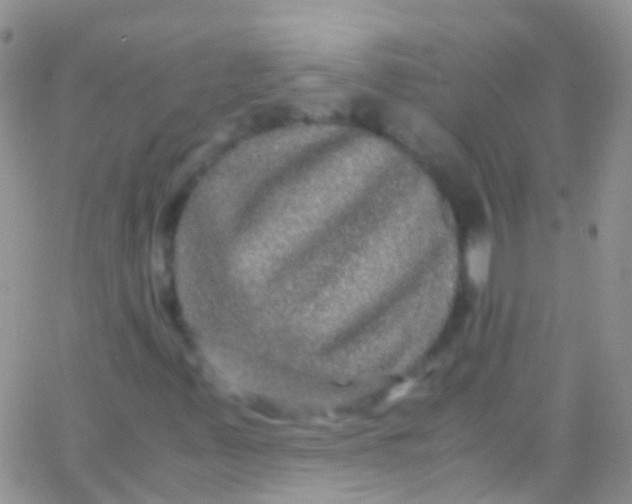 X0000066001347200603172155