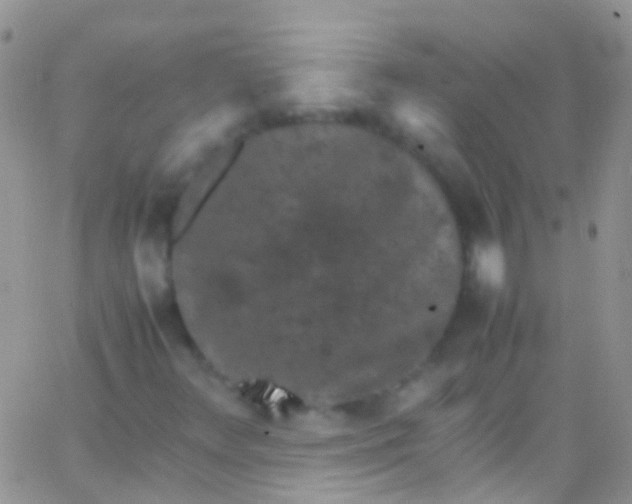 X0000066001348200603172155