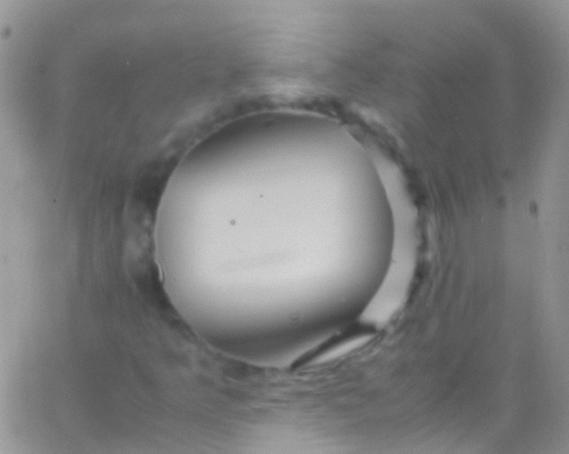 X0000066001349200603172155