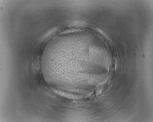 X0000066001350200603172155