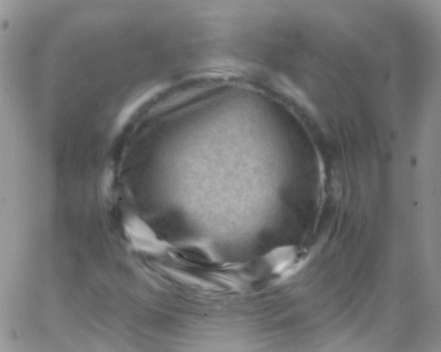 X0000066001352200603172155