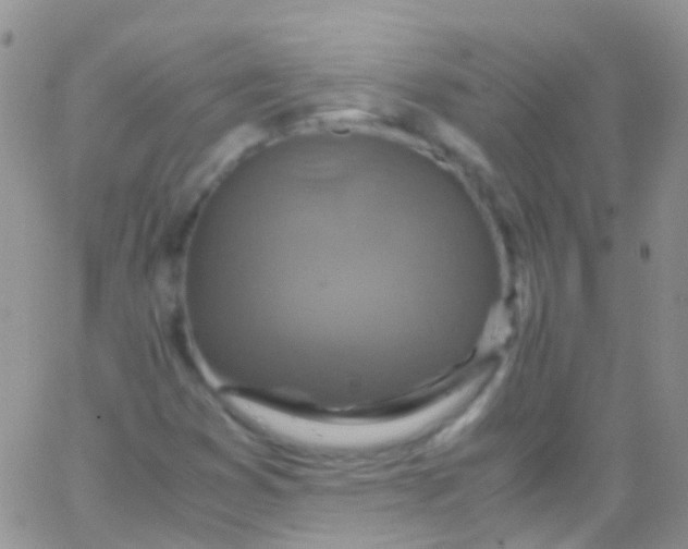 X0000066001353200603172155