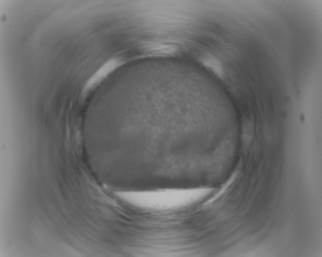 X0000066001354200603172155