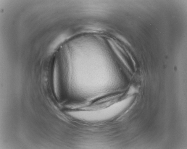 X0000066001355200603172155