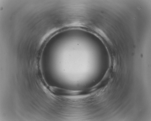 X0000066001356200603172155