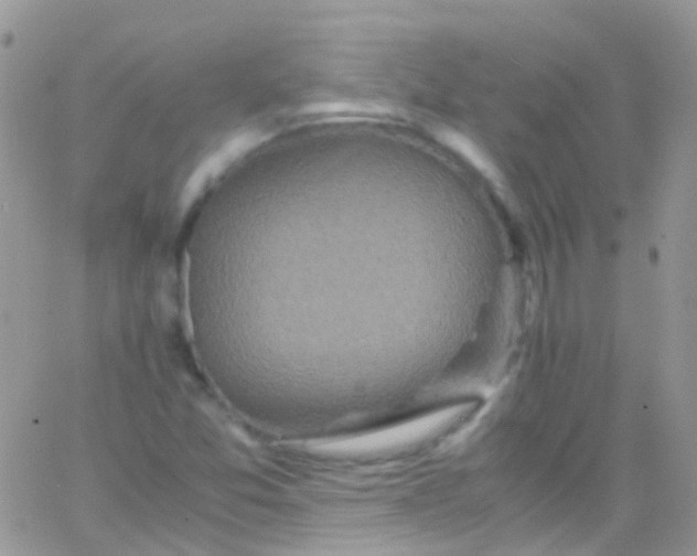 X0000066001357200603172155