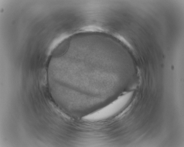 X0000066001358200603172155