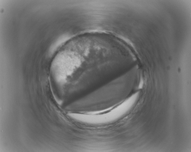 X0000066001359200603172155