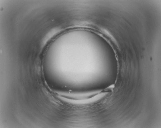 X0000066001360200603172155