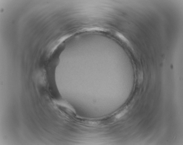 X0000066001361200603172155