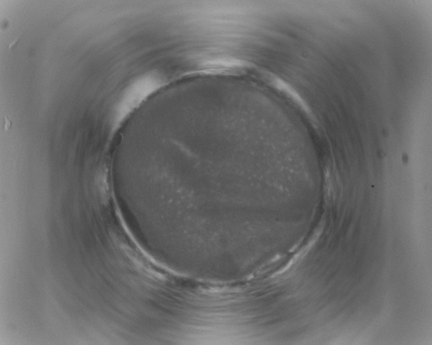 X0000066001362200603172155