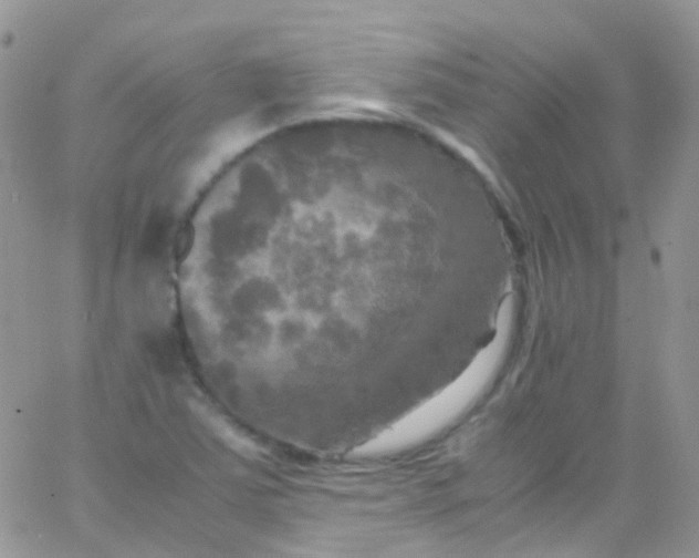 X0000066001363200603172155