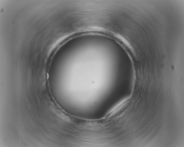 X0000066001364200603172155