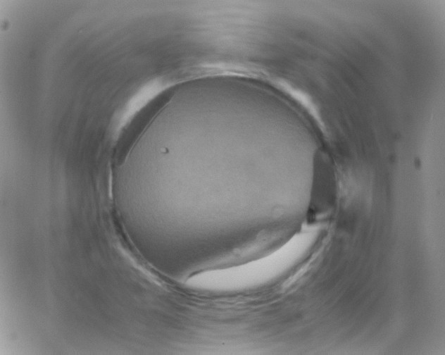 X0000066001365200603172155