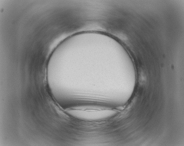 X0000066001366200603172155