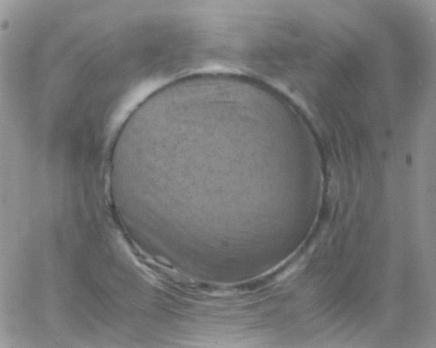 X0000066001367200603172155