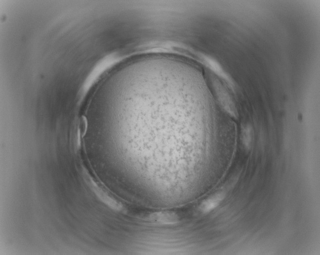 X0000066001368200603172155