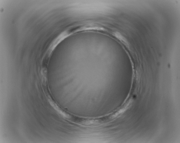 X0000066001369200603172155