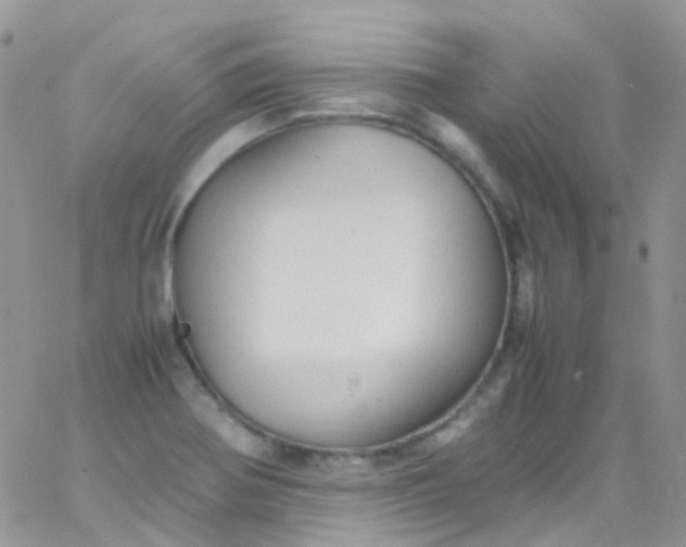 X0000066001370200603172155