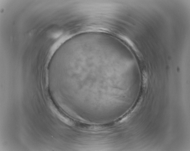 X0000066001371200603172155