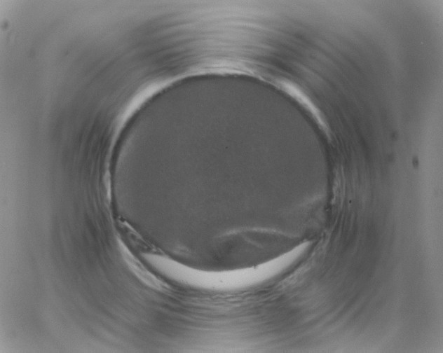 X0000066001372200603172155