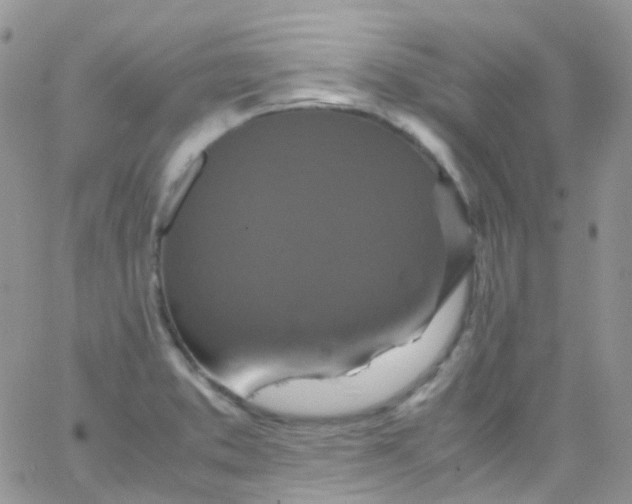 X0000066001373200603172155