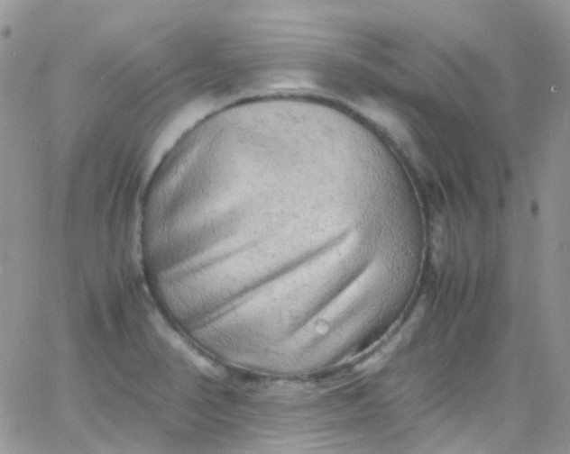 X0000066001374200603172155