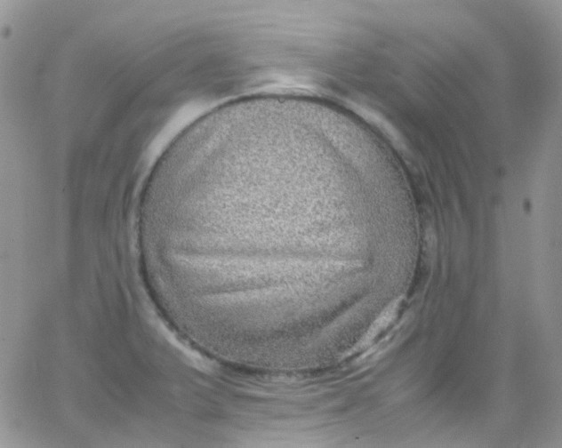 X0000066001375200603172154