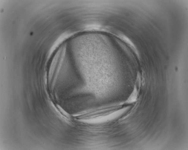 X0000066001376200603172154