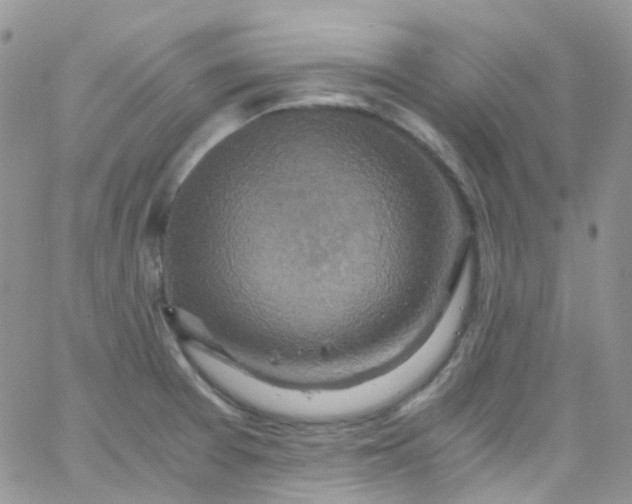 X0000066001377200603172154