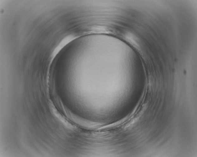 X0000066001378200603172154