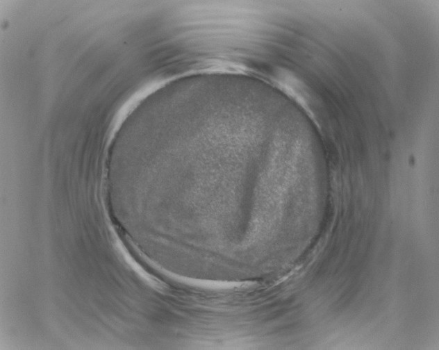 X0000066001379200603172154