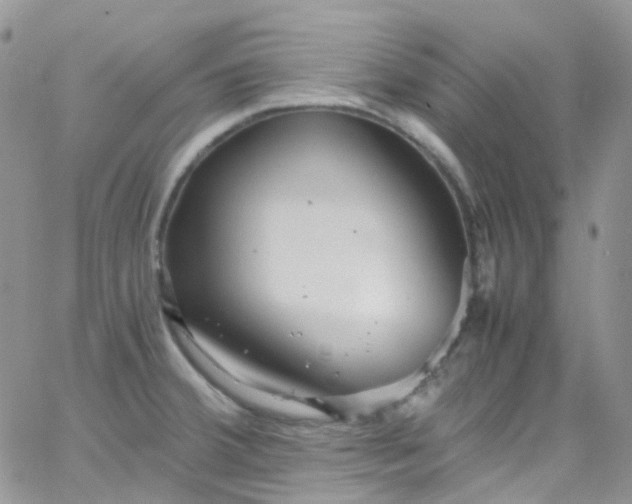 X0000066001380200603172154