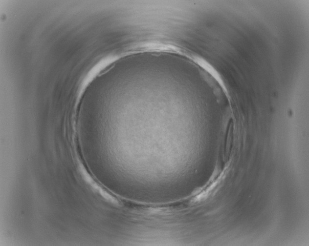 X0000066001381200603172154