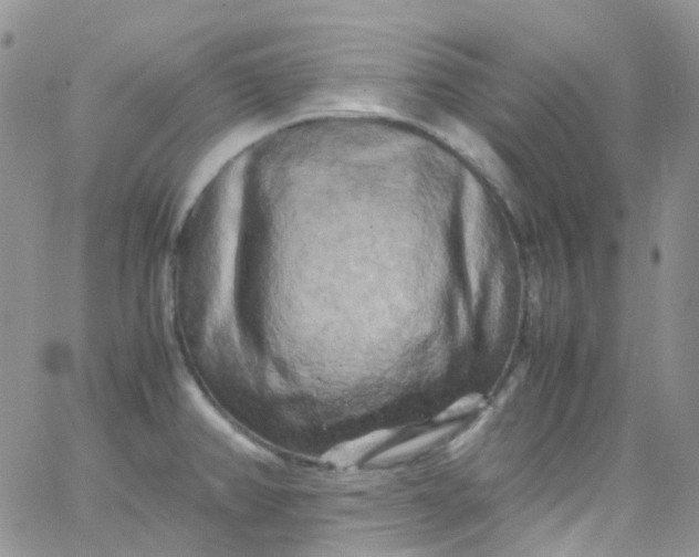 X0000066001382200603172154