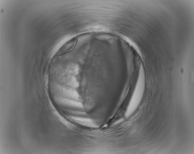 X0000066001383200603172154