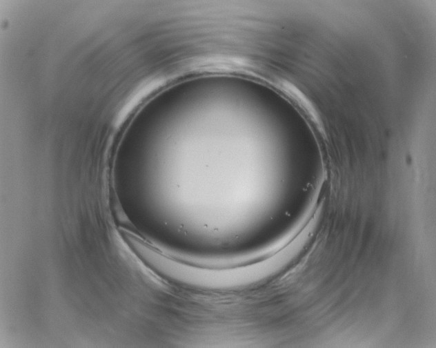 X0000066001384200603172154