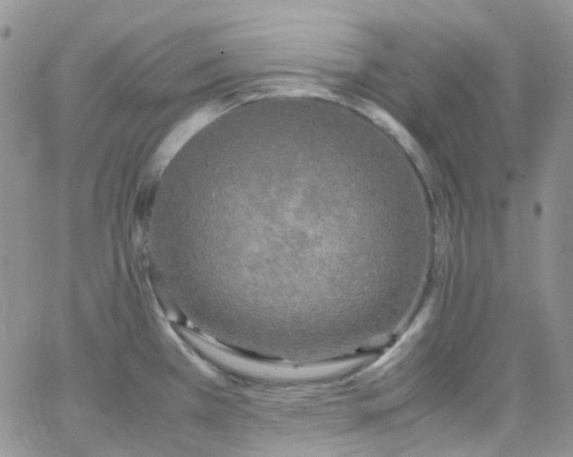 X0000066001385200603172154