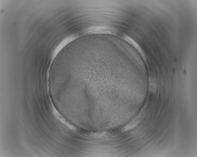 X0000066001386200603172154