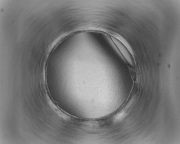 X0000066001388200603172154