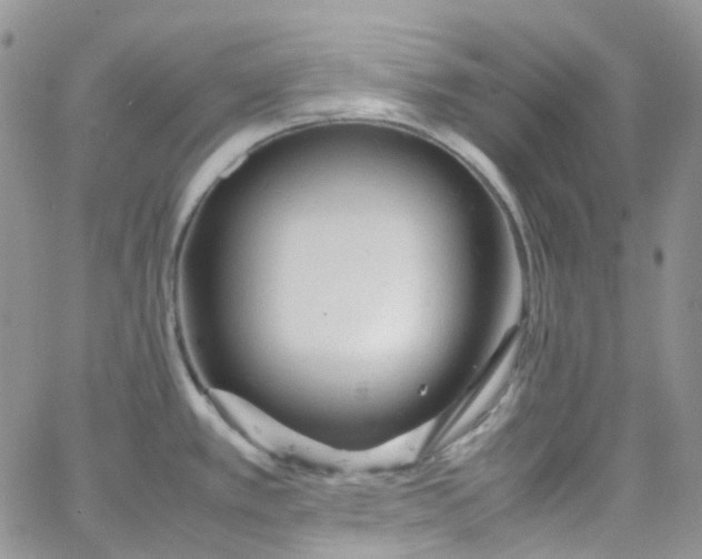 X0000066001389200603172154