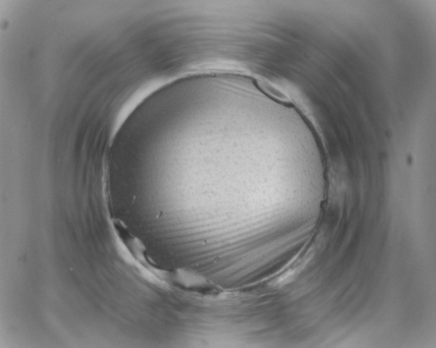 X0000066001390200603172154