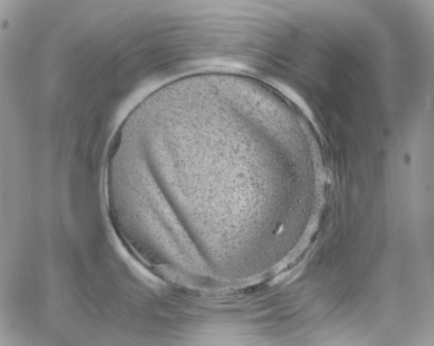 X0000066001391200603172154