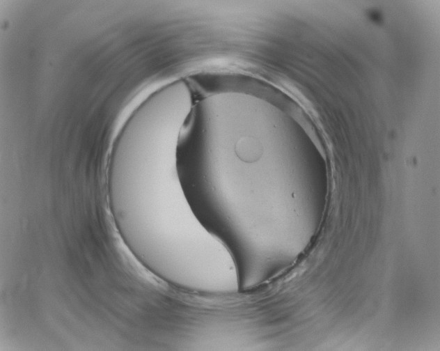 X0000066001392200603172154